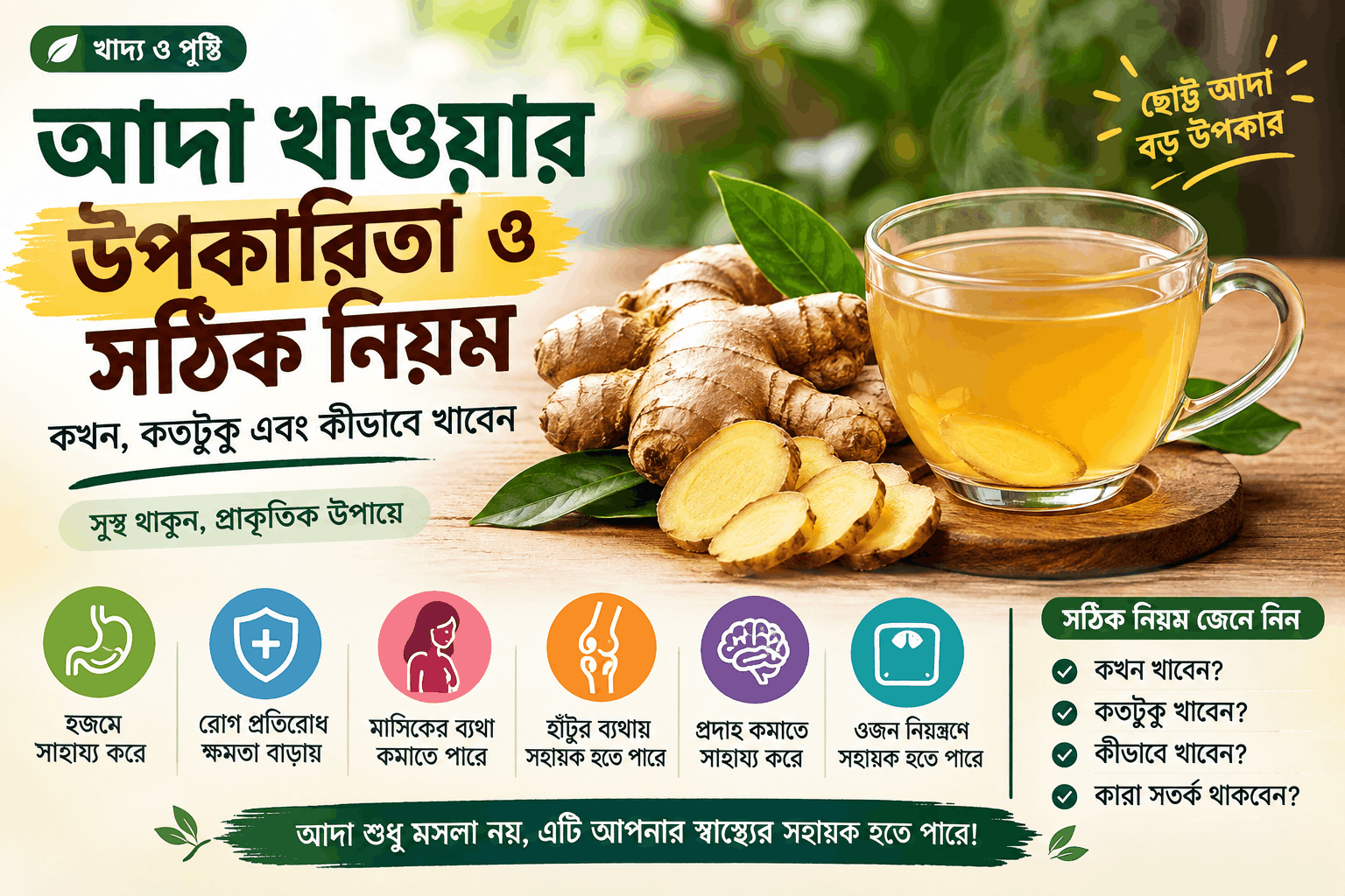 আদা খাওয়ার উপকারিতা ও সঠিক নিয়ম